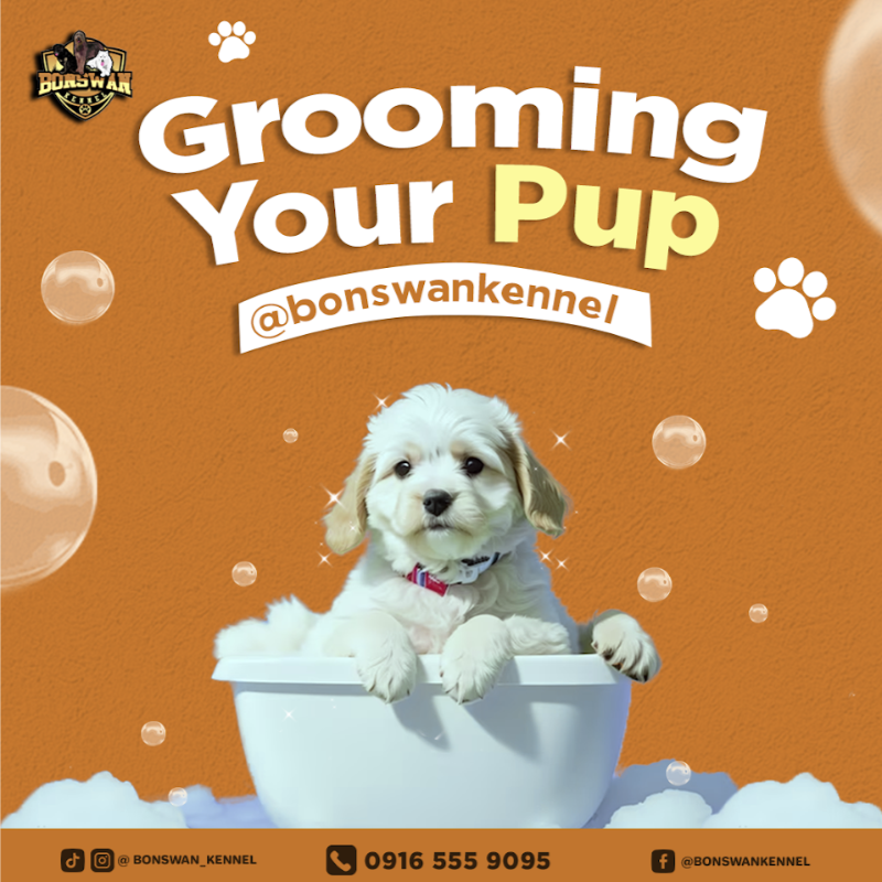 Live Selling Event Setup