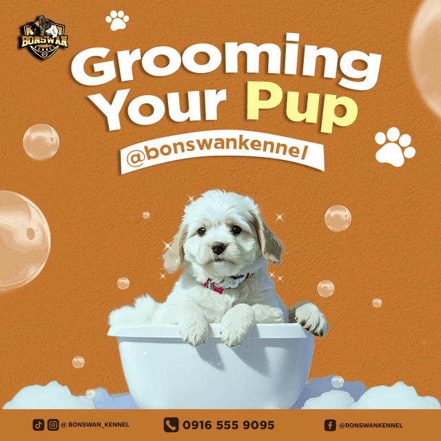 Content Strategy #10