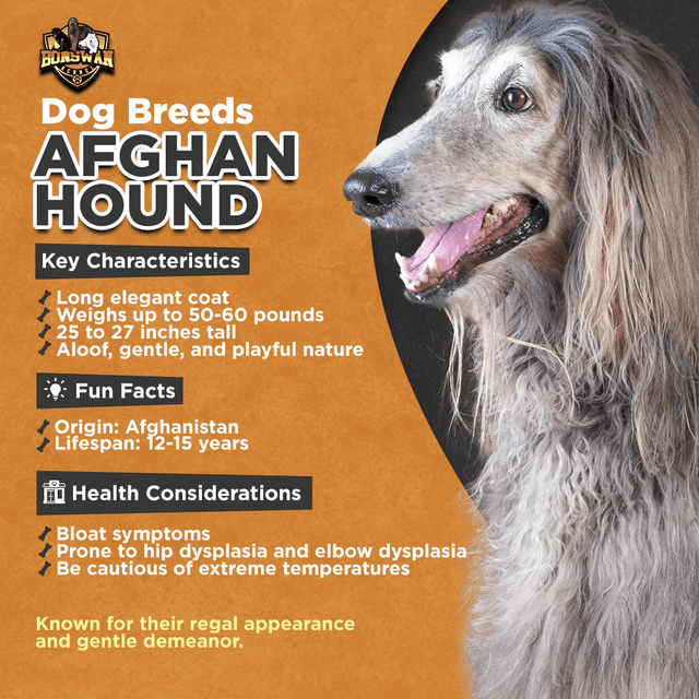 Content Strategy #11